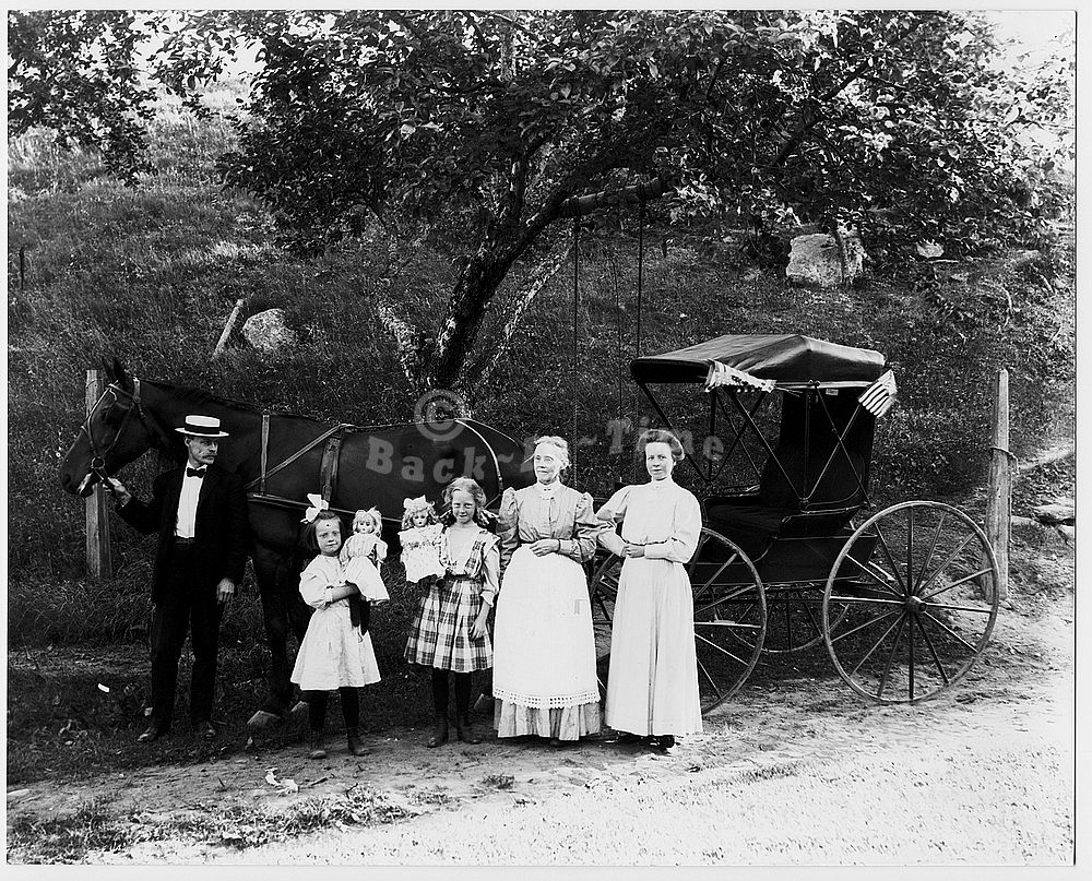 05-July-4th-buggy-lg