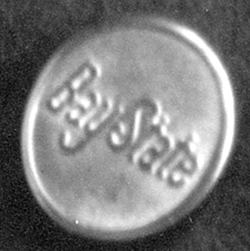 Bay State Street Railway Conductor button