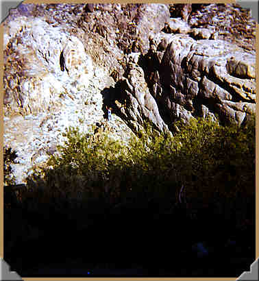 Up on the North wall of Goler Wash - 10/1979.