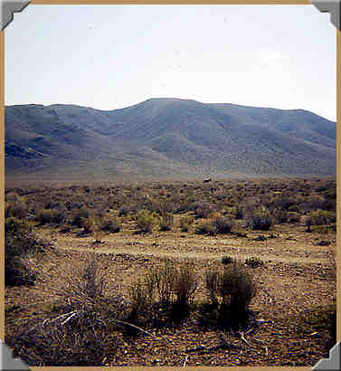 Striped Butte Valley feral burro - 10/1976